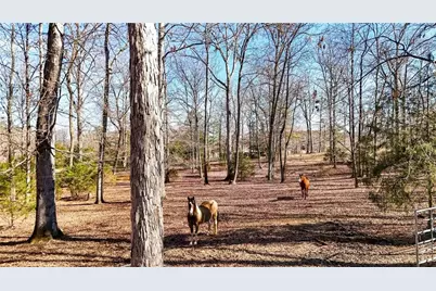 5981 Blacks Bluff Road, Cave Spring, GA 30124 - Photo 25