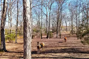 5981 Blacks Bluff Rd, Cave Spring, GA 30124 - Photo 25