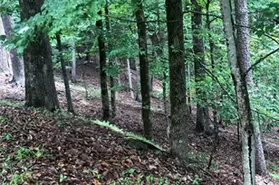 6055 Crested Iris Circle, Jasper, GA 30143 - Photo 1