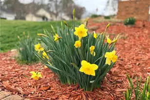 2001 Two Springs Way, Lawrenceville, GA 30043 - Photo 29