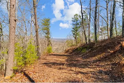 [Address not provided], Sugar Valley, GA 30746 - Photo 23