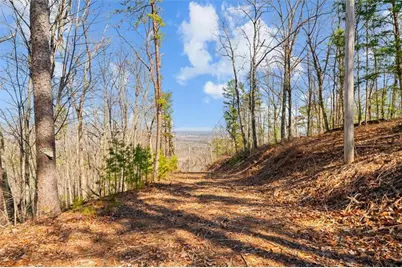 [Address not provided], Sugar Valley, GA 30746 - Photo 21