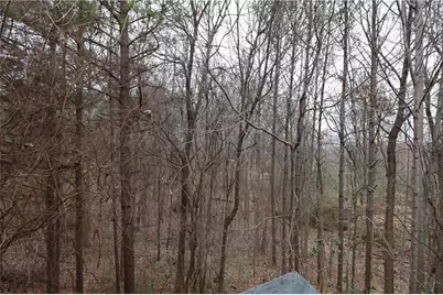 18204 Waldrop Cove, Decatur, GA 30034 - Photo 3