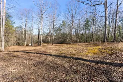 368 Harkins Road, Cleveland, GA 30528 - Photo 9