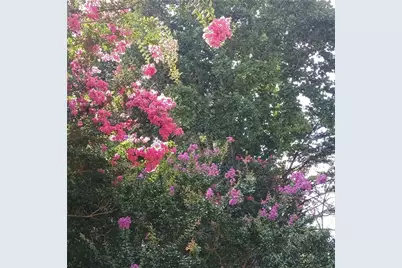 2572 Pembrooke Way, Lawrenceville, GA 30044 - Photo 37