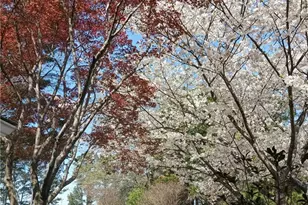 2572 Pembrooke Way, Lawrenceville, GA 30044 - Photo 3