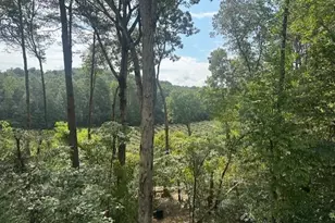 167 Meadow View Ct, Ellijay, GA 30536 - Photo 27