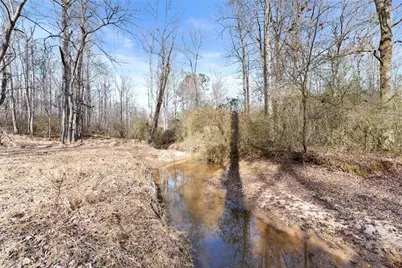 6998 Britt Gailey Road, Clermont, GA 30527 - Photo 73
