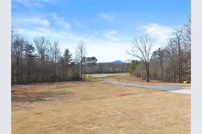 6998 Britt Gailey Road, Clermont, GA 30527 - Photo 99