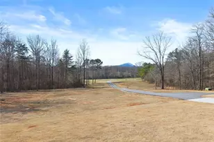 6998 Britt Gailey Rd, Clermont, GA 30527 - Photo 99