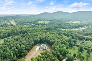 6998 Britt Gailey Rd, Clermont, GA 30527 - Photo 83
