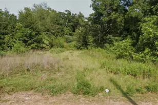 72 Henry Way, Hawkinsville, GA 31036 - Photo 1