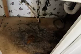 120 Hunters Ridge Dr, Monticello, GA 31064 - Photo 33