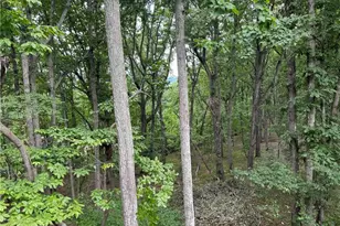 2595 Highland Pointe Dr, Cumming, GA 30041 - Photo 41