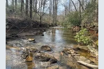 850 W Kytle Street, Cleveland, GA 30528 - Photo 3