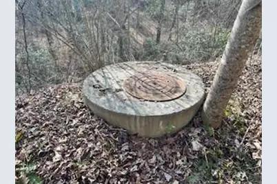 850 W Kytle Street, Cleveland, GA 30528 - Photo 7