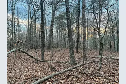 0Zz Kelly Bridge Road, Dawsonville, GA 30534 - Photo 9