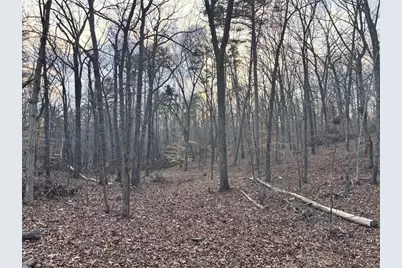 0Zz Kelly Bridge Road, Dawsonville, GA 30534 - Photo 13