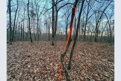 0Zz Kelly Bridge Road, Dawsonville, GA 30534 - Photo 11