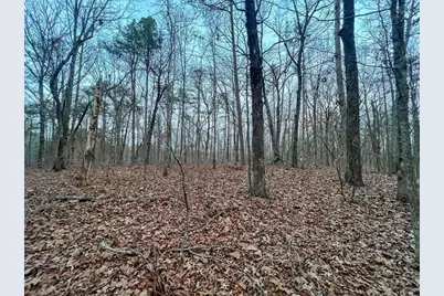 0Zz Kelly Bridge Road, Dawsonville, GA 30534 - Photo 17