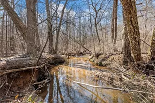 4179 Hwy 129 N, Cleveland, GA 30528 - Photo 77