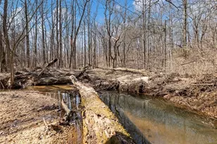 4179 Hwy 129 N, Cleveland, GA 30528 - Photo 79