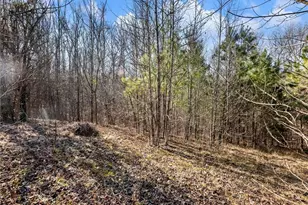 4179 Hwy 129 N, Cleveland, GA 30528 - Photo 67