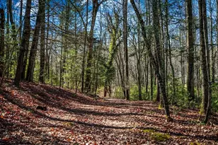 102 Captains Cove, Blairsville, GA 30512 - Photo 41