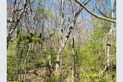 0 Crescent, Newnan, GA 30265 - Photo 5