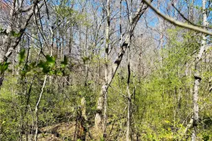 Lot 1 Crescent Dr, Newnan, GA 30265 - Photo 5