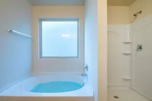 1494 Townsend Ct, Hampton, GA 30228 - Photo 9