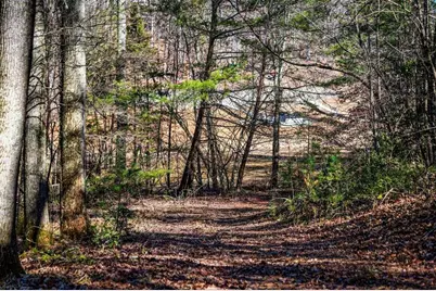 Trct B Captains Cove, Blairsville, GA 30512 - Photo 9