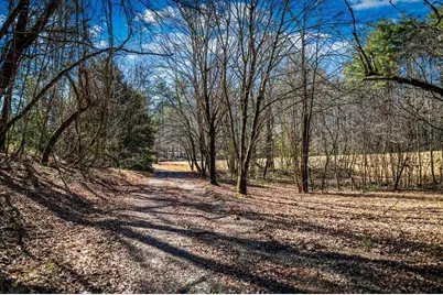 Trct B Captains Cove, Blairsville, GA 30512 - Photo 5