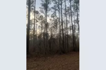 0 Shocley Road, Monroe, GA 30656 - Photo 3