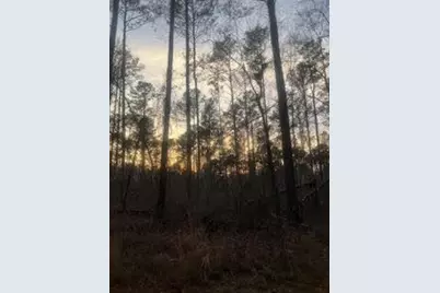 0 Shocley Road, Monroe, GA 30656 - Photo 5