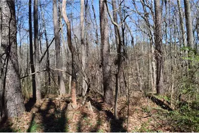 5320 Beth Drive, Austell, GA 30106 - Photo 3