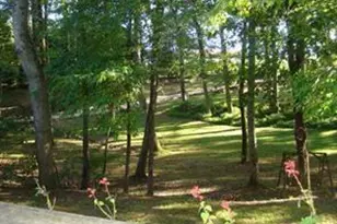 6965 Flowery Branch Rd, Cumming, GA 30041 - Photo 7