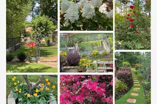 635 Cranberry Trail, Roswell, GA 30076 - Photo 39