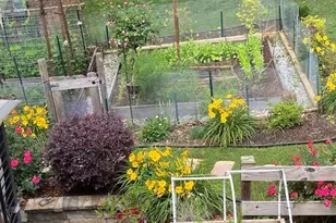 635 Cranberry Trail, Roswell, GA 30076 - Photo 41