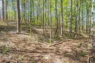 175 Cedarwood Ln, Roswell, GA 30075 - Photo 45