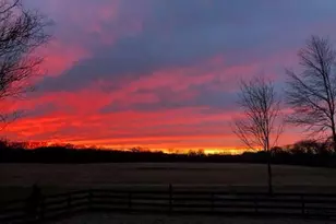 70 Seattle Slew Way, Cartersville, GA 30120 - Photo 57