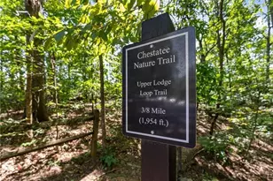 184 Scarlet Oak Ln, Dawsonville, GA 30534 - Photo 79