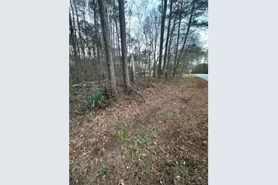 450 W Lake Drive, Oxford, GA 30054 - Photo 3