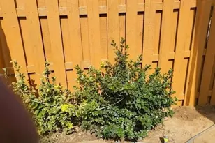 3801 Thayer Trace, Duluth, GA 30096 - Photo 45