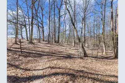 5539 McEver Road, Flowery Branch, GA 30542 - Photo 23