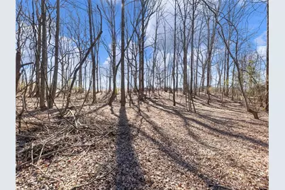 5539 McEver Road, Flowery Branch, GA 30542 - Photo 25