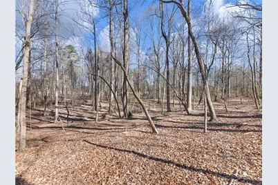 5539 McEver Road, Flowery Branch, GA 30542 - Photo 25