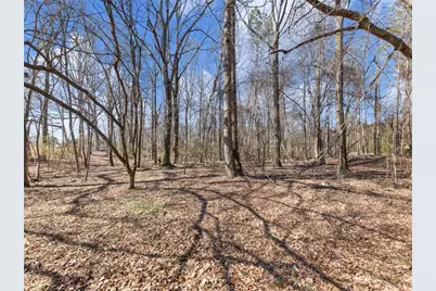 5539 McEver Road, Flowery Branch, GA 30542 - Photo 21
