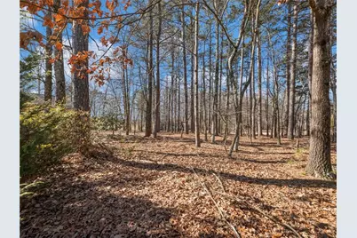 5539 McEver Road, Flowery Branch, GA 30542 - Photo 41