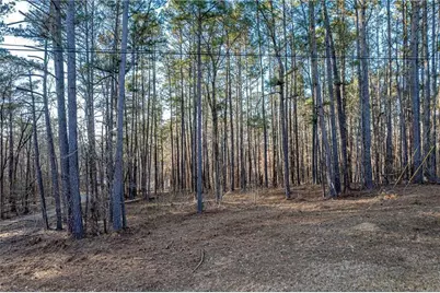 00 N Steel Bridge Road, Eatonton, GA 31024 - Photo 11